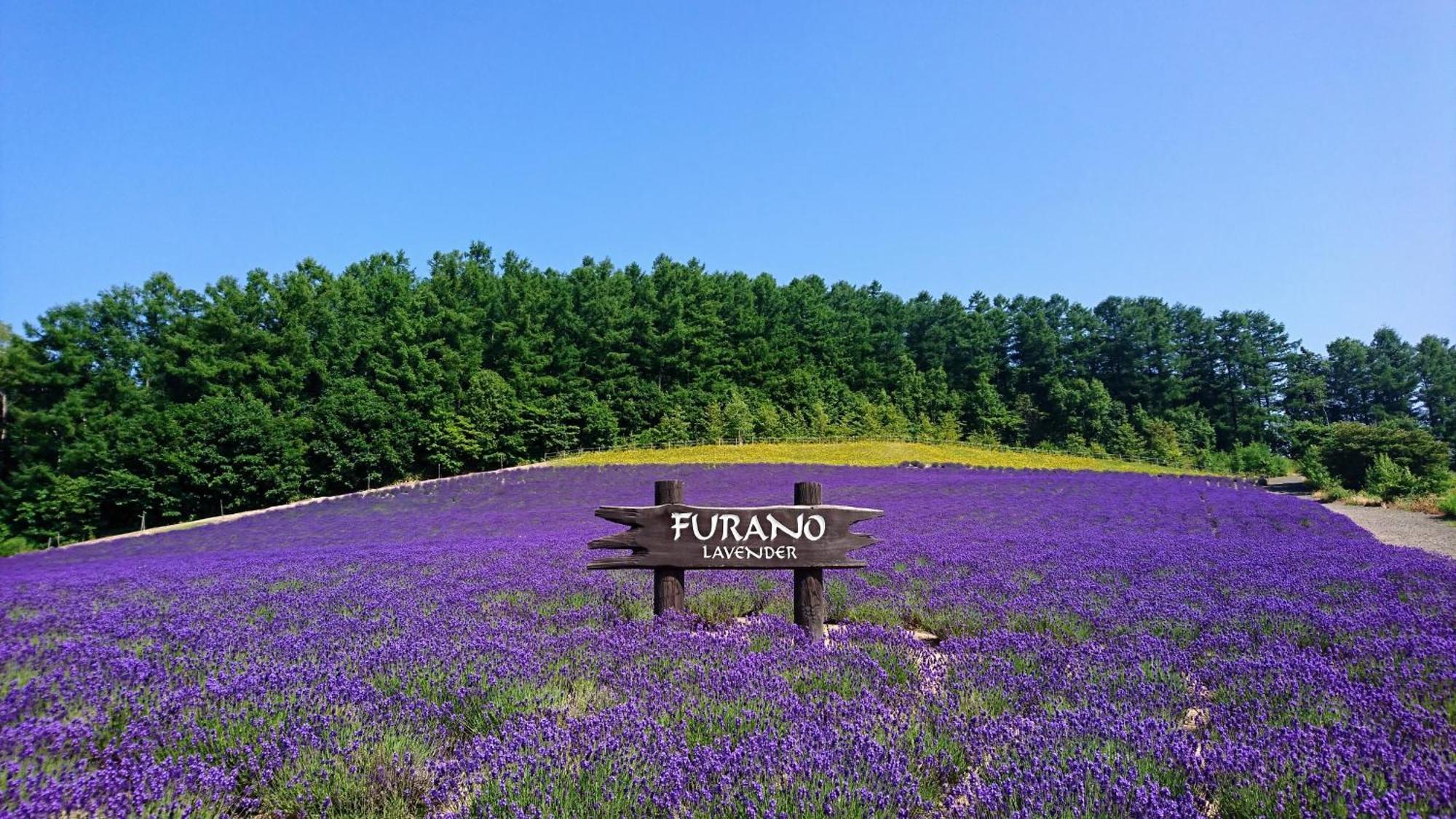 ふ A No 田園 Coterginupri Villa Nakafurano Dış mekan fotoğraf